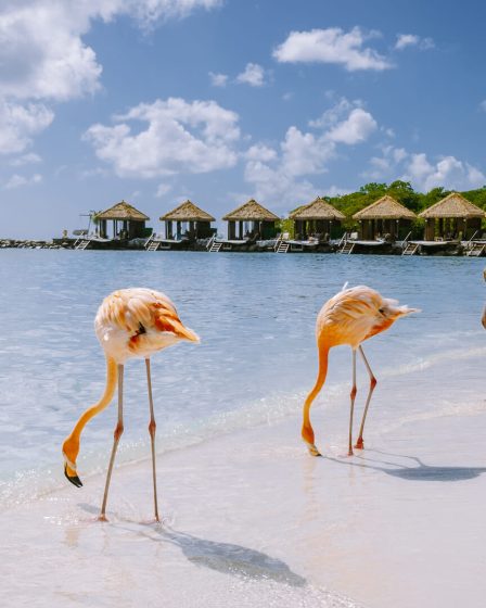Wyspa Aruba