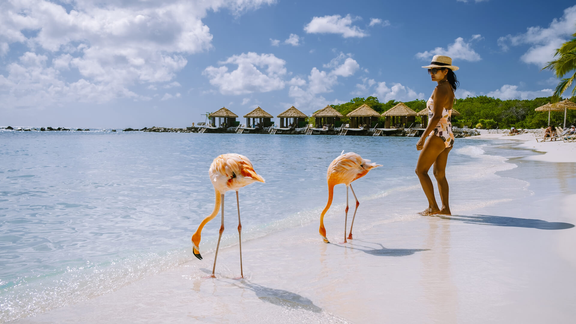 Wyspa Aruba